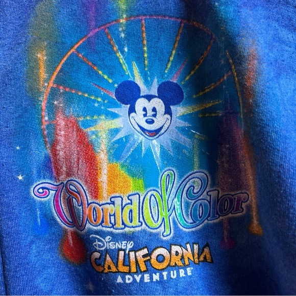 Disneyland Walt Disney World by Hanes World of Color zip up sweatshirt M - Picture 4 of 6